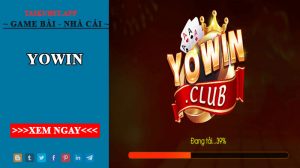 YoWin - Cổng game đổi thưởng uy tín và hấp dẫn nhất 2022